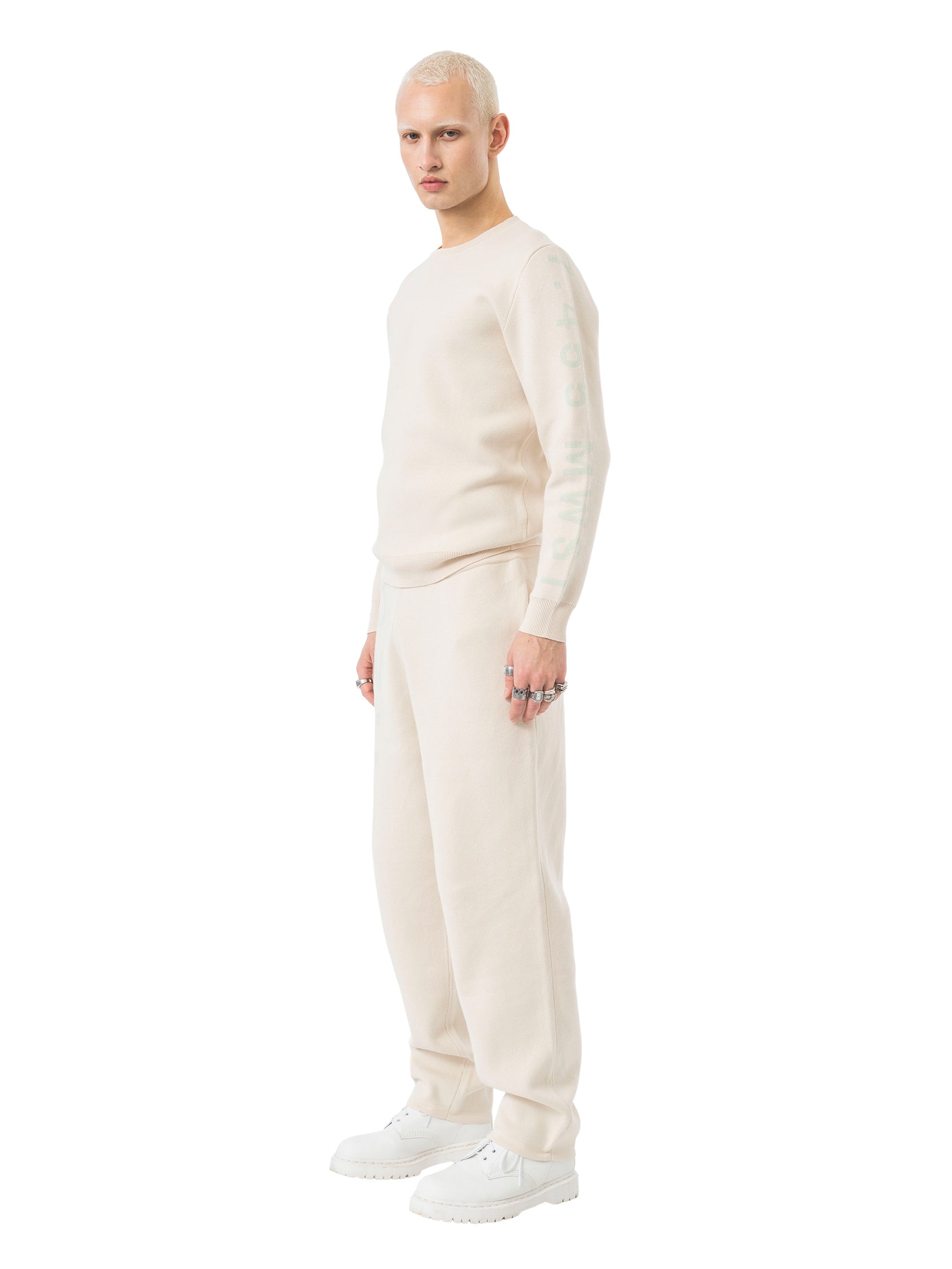 knit crewneck sweater signature - beige/mint
